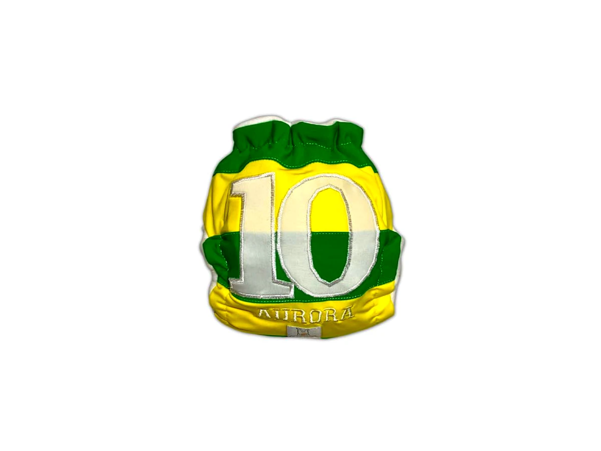 Fralda de Pano Ecológica AURORINHA SUSTENTÁVEL Pocket Minky Winnie The Pooh Tamanho Único 4kg/18kg
