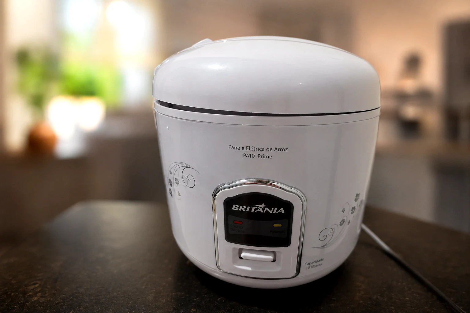 teste Panela Elétrica de Arroz Britânia 10 Xícaras PA10 Prime