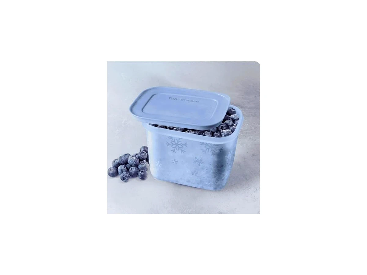 Revisão Pote Hermético Tupperware Freezer Line Alto Gelo 1,1L (804561): O especialista absoluto para organizar o seu congelador