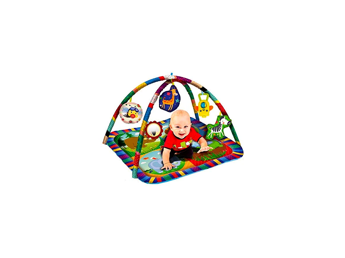 Tapete Centro De Atividades Para Bebês Com Aro Zoop Toys
